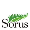 Logo wydawnictwa - Sorus
