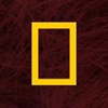 Logo wydawnictwa - National Geographic