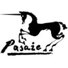 Logo wydawnictwa - Pasae