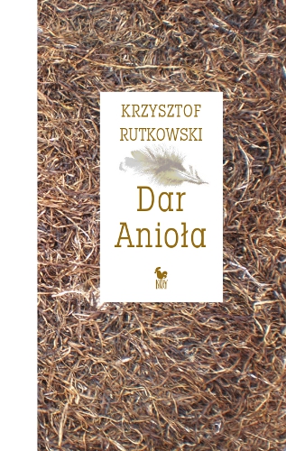 Okładka - Dar Anioła