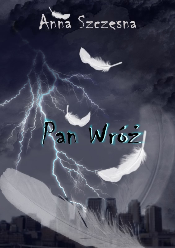 Ok�adka - Pan wr�