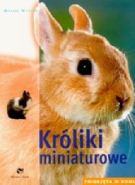 Ok�adka - Kr�liki miniaturowe