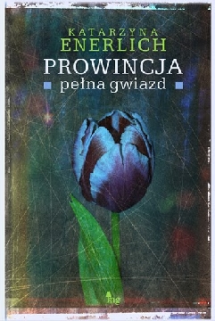 Ok�adka - Prowincja pe�na gwiazd