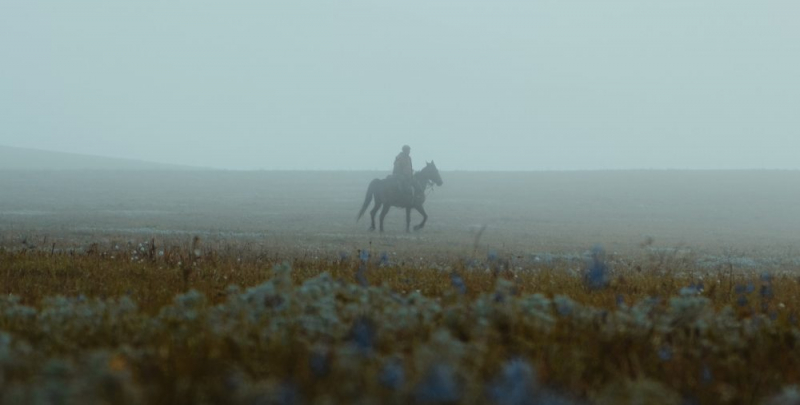 Obrazek w treści Pedro Almodóvar z nowym filmem. Produkcja ma nawiązywać do „Tajemnicy Brokeback Mountain” [jpg]