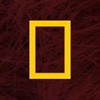 Logo wydawnictwa - National Geographic