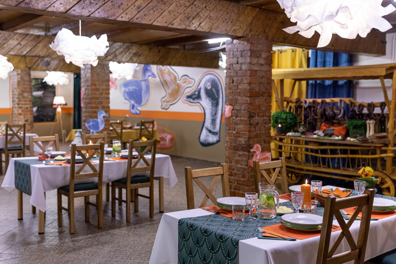 Kacze zamieszanie - zajazd Komorniki