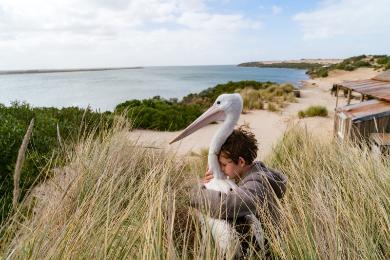 News - Ekranizacja ksi��ki Colina Thiele’a od stycznia w kinach