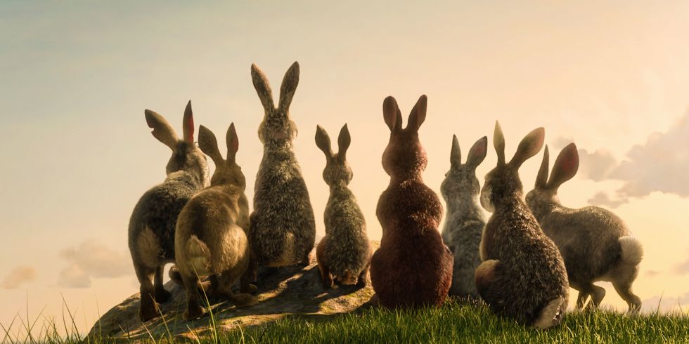 News - Serial „Wodnikowe Wzgrze