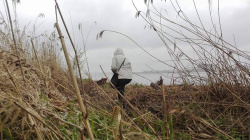 News - Co si stao z Iwon Wieczorek? Wanie mija 9 lat od jej zaginicia