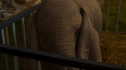 News - &quot;Dumbo&quot; - czym jest jedna z animacji Tima Burtona?