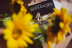 News - W kocu jeste mj! Fragment ksiki „Zota kaczka