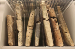 News - Antyczna tablica z fragmentem &amp;#8222;Eposu o Gilgameszu&amp;#8221; skonfiskowana przez amerykaski sd