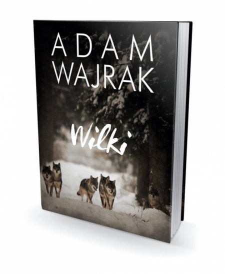 News - 1 XII: Adam Wajrak w Katowicach