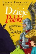 Okadka - Dzieje Polski opowiedziane dla modziey