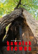 Okadka - Kawaek drewna