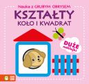 Okadka ksizki - Nauka z grubym obrysem. Ksztaty. Koo i kwadrat