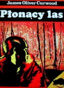 Okadka ksizki - Poncy las