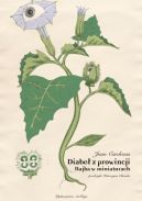 Okładka książki - Diabeł z prowincji