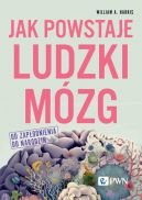 Ok�adka - Jak powstaje ludzki m�zg. Od zap�odnienia do narodzin