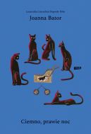 Ok�adka - Ciemno, prawie noc