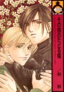 Ok�adka - Sono Yubi no Tadoru Kizu