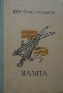Okładka ksiązki - Banita