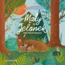 Ok�adka ksi�zki - Ma�y Jelonek