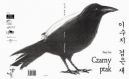 Okadka ksiki - Czarny ptak