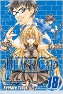 Ok�adka ksi�zki - Black Cat, Vol. 18