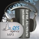 Ok�adka - Z�ap mnie je�li potrafisz. Audiobook