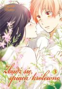 Okadka - ZBUD SI, PICA KRLEWNO: TOM 3