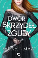 Okładka książki - Dwór skrzydeł i zguby