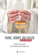 Okładka - Panie, dobry jak chleb. Spotkania dla rodziców przed Pierwszą Komunią Świętą dzieci.  Zeszyt katechisty 