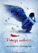 Ok�adka - Pot�ga mi�o�ci