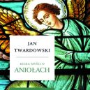 Okadka - Kilka myli o anioach