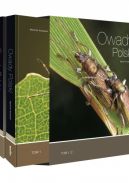 Okadka - Owady Polski