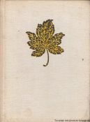 Ok�adka - Ze wspomnie� Samowara