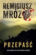 Okładka książki - Przepaść