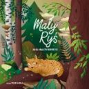 Ok�adka ksi�zki - Ma�y Ry�