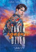 Ok�adka - Zanim zga�nie dzie�