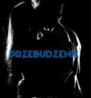 Okadka ksizki - Przebudzenie