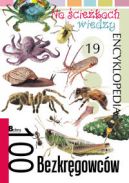 Okadka ksizki - 100 bezkrgowcw