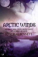 Okadka - Arctic Winds