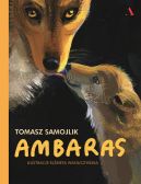Okładka - Ambaras