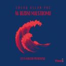Ok�adka - W bezdni Malstromu