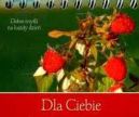 Okadka - Dla Ciebie Myli na kady dzie