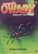 Okładka - Stonka żabionoga