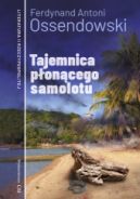 Okadka - Tajemnica poncego samolotu