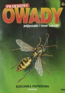 Okładka - Klecanka papierowa