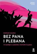 Okadka ksizki - Bez pana i plebana